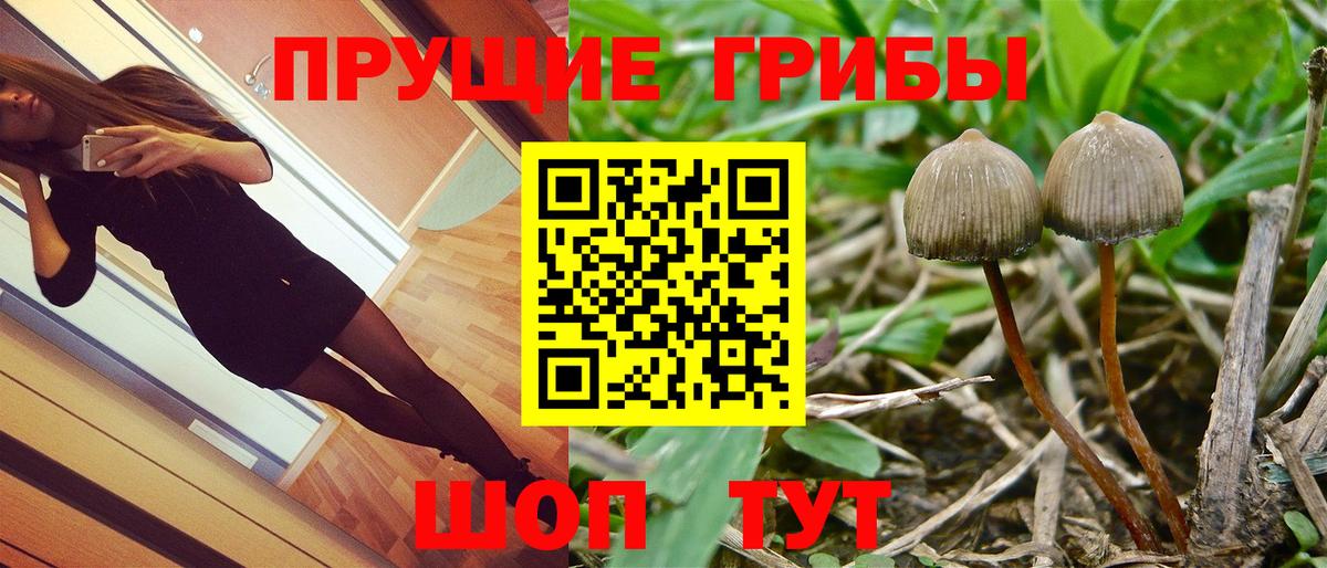 Обь  Псилоцибиновые грибы мухоморы  Вход с VPN  Псилоцибиновые грибы Psilocybine cubensis 