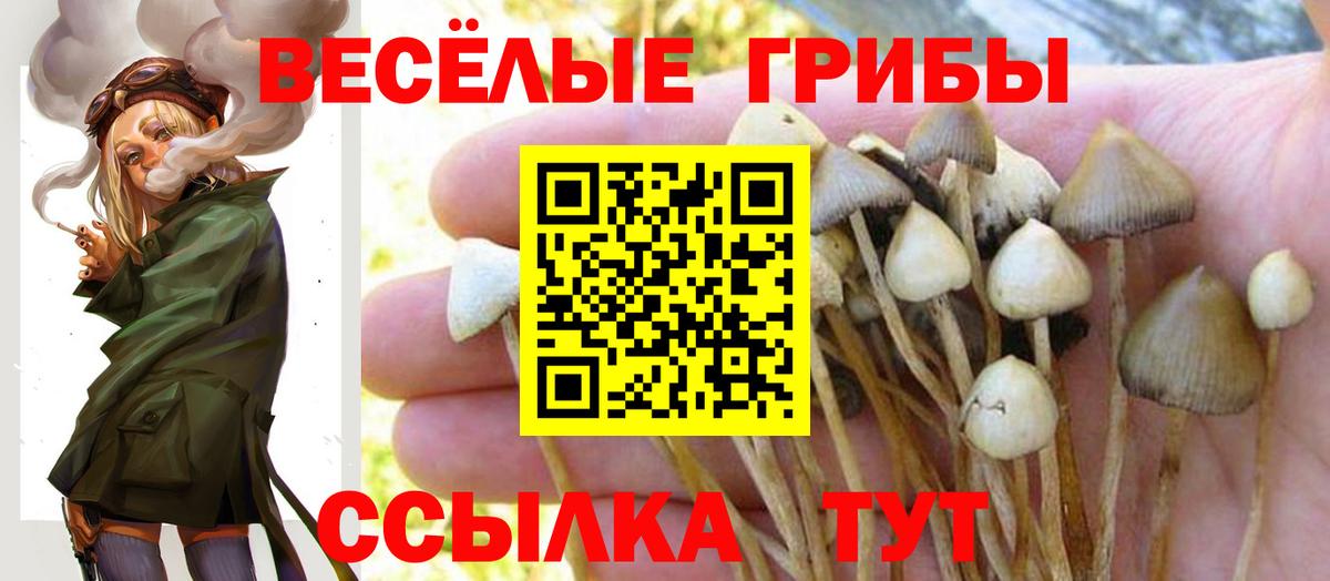 Псилоцибиновые грибы GOLDEN TEACHER Обь
